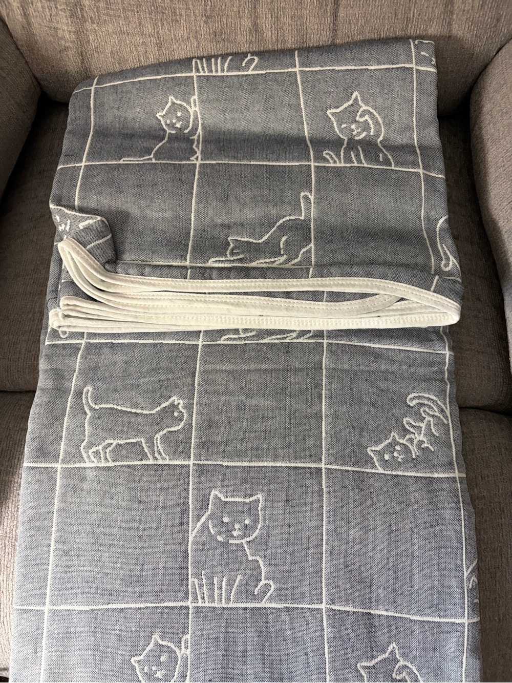 Soft Gray Cat Pattern All Seasons Blanket Twin/Full 72x80